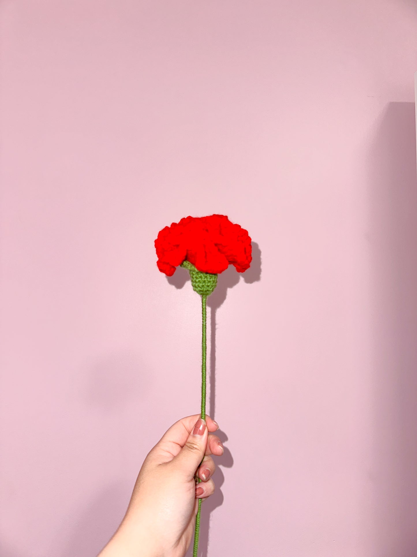 Crochet carnation