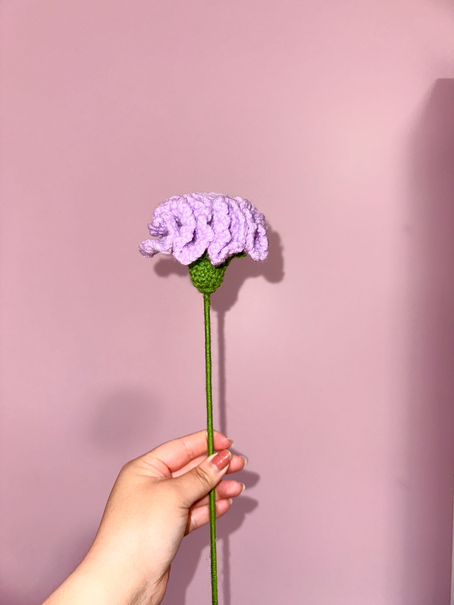 Crochet carnation