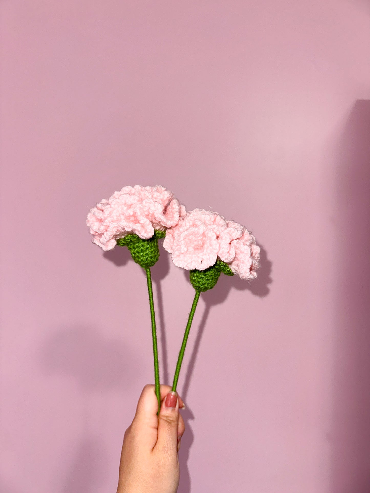 Crochet carnation