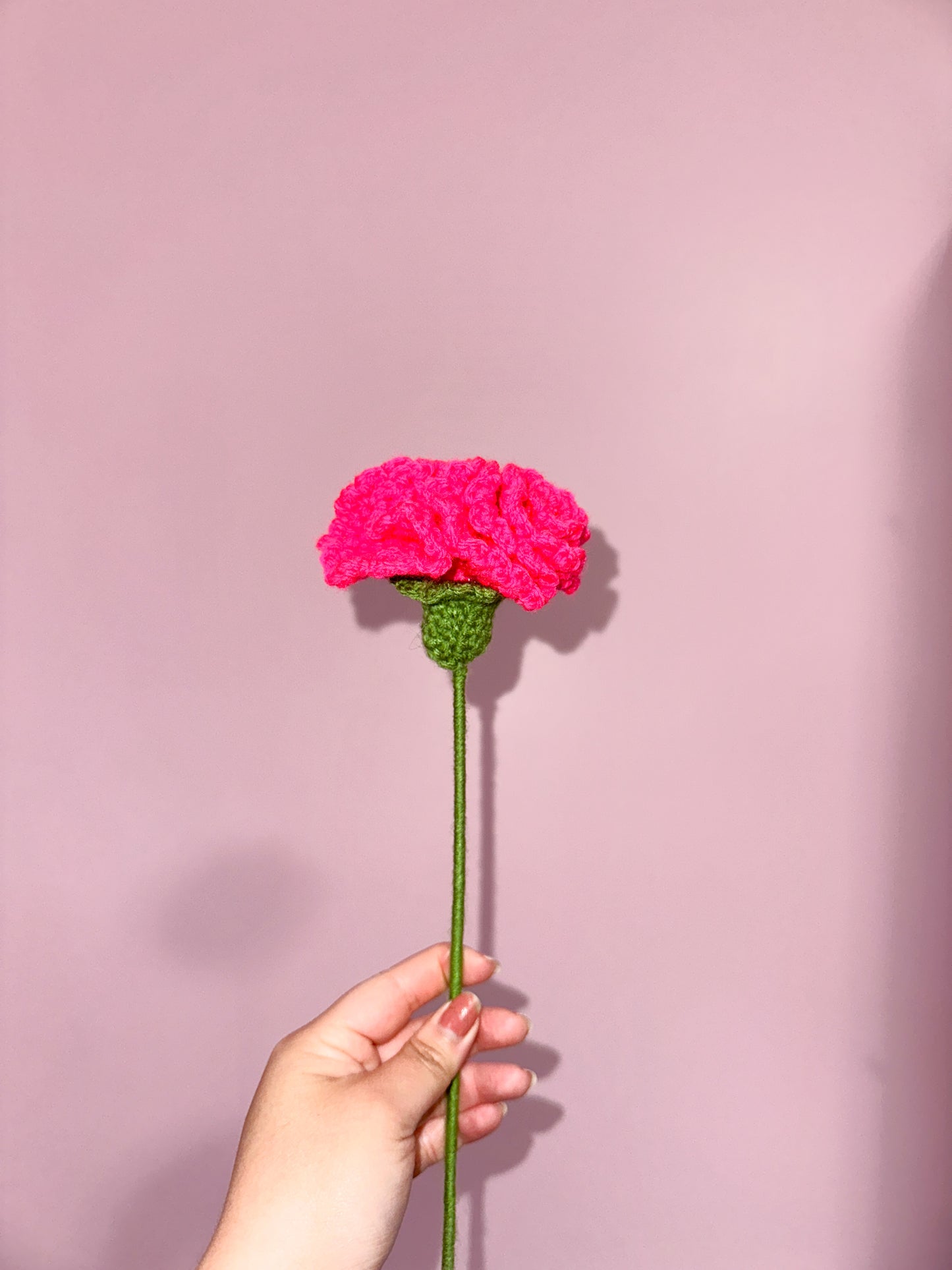 Crochet carnation