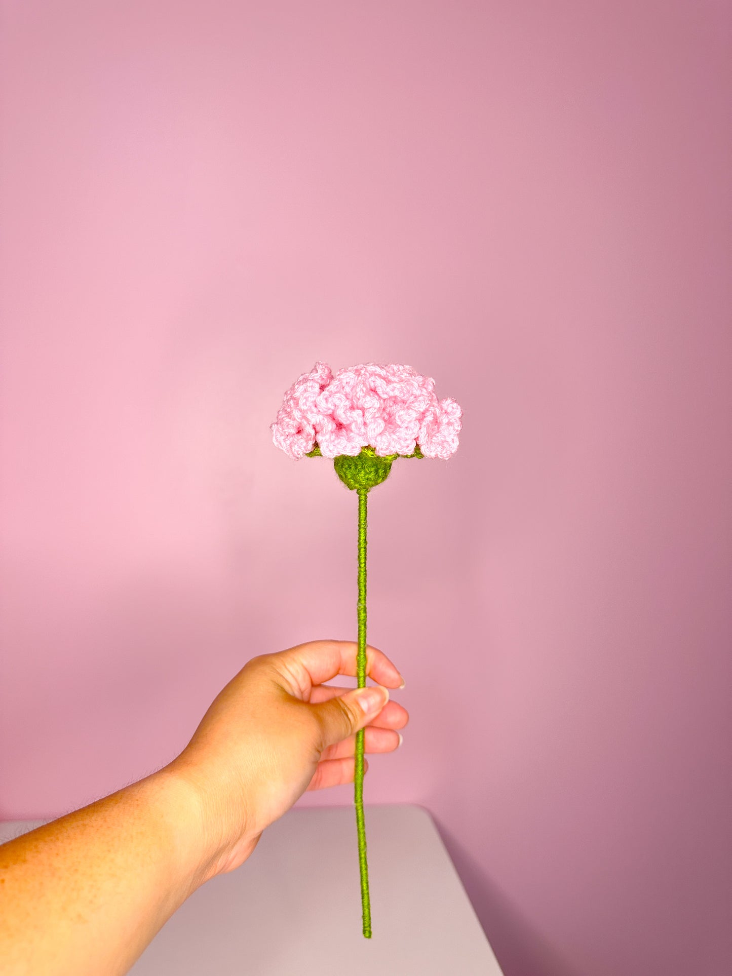 Crochet carnation