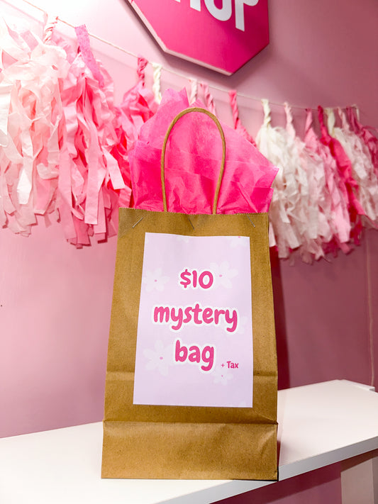 $10 mystery bag