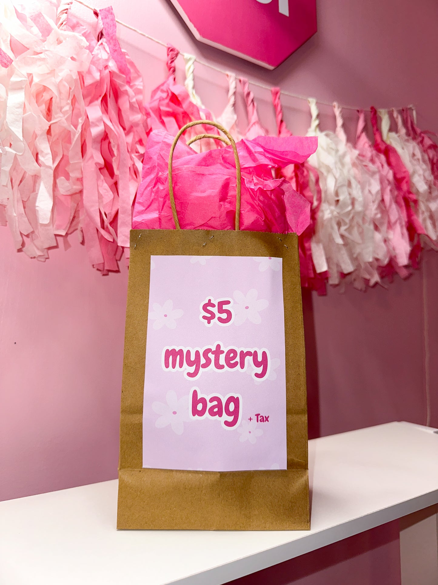 $5 mystery bag