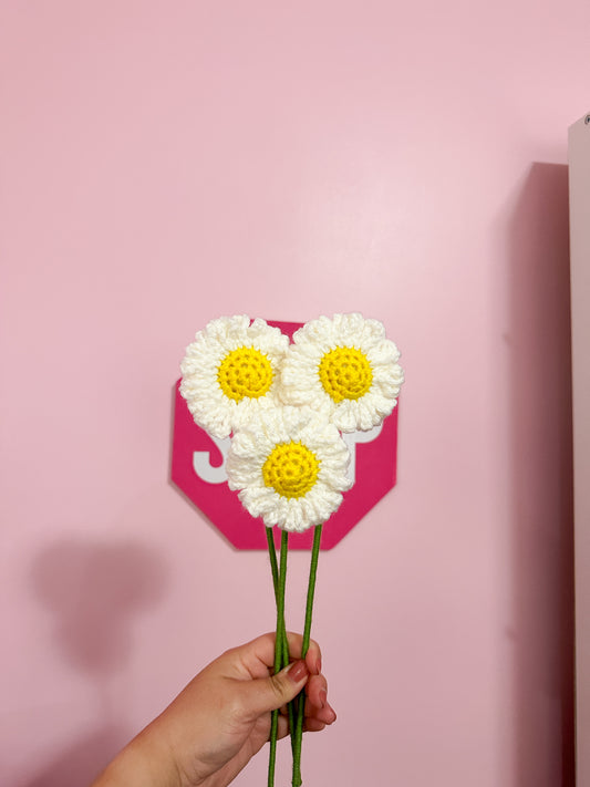 Crochet daisies